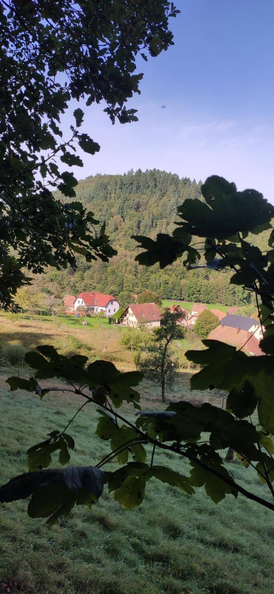 Appartement Douillet Avec Vue Sur Les Montagnes Fouchy Kültér fotó